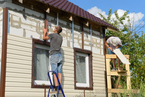 Best Insulated Siding Installation  in China Grove, TX